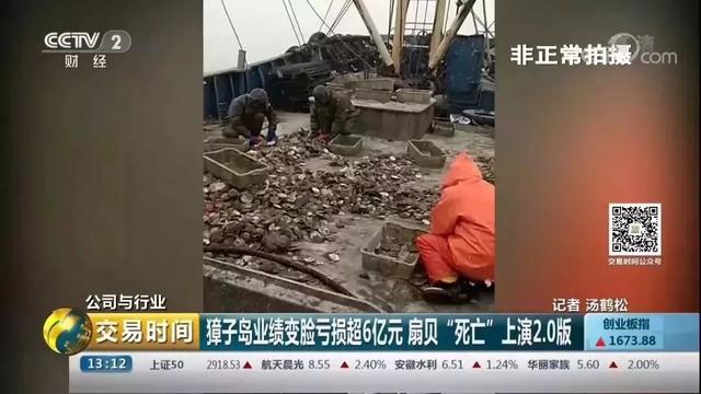 央视财经记者深入獐子岛，发现此事必有蹊跷！