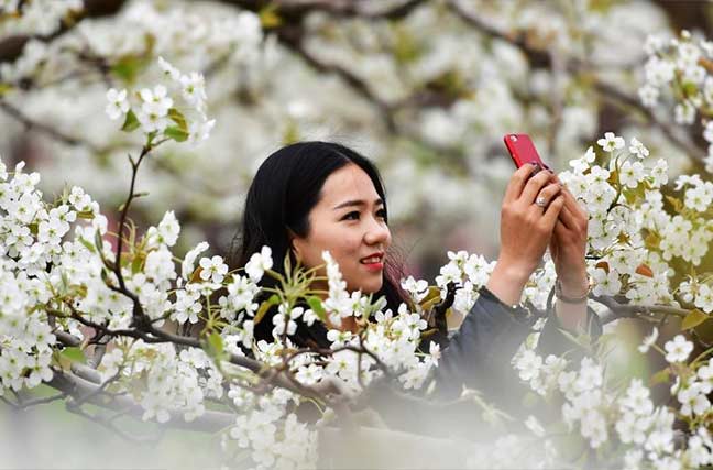 赵县婚纱照_赵县柏林禅寺图片