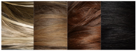 多国科学家联手解析人类头发颜色的“密码”