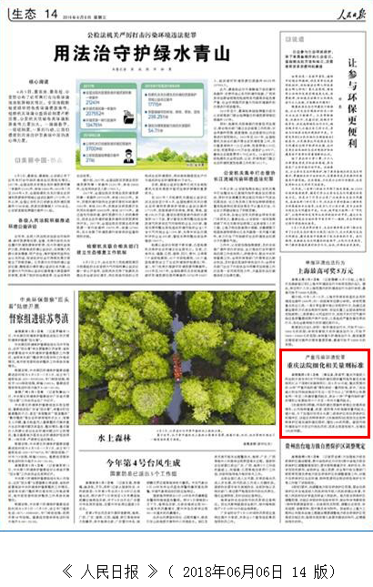 严重污染环境犯罪 重庆法院细化相关量刑标准