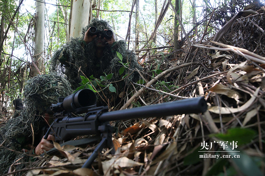 武警广西总队"蓝军"特战分队狙击手在进行隐蔽伏击训练