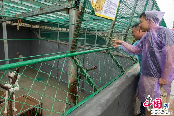 山东宝山前野生动物园开园 动物品种达142种