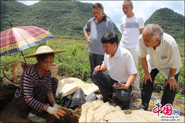 贵州:黔南州经促会到独山调研脱贫攻坚工作