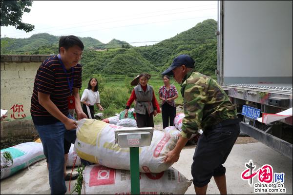 福泉市有多少人口_重磅!福泉有多少人,答案来了