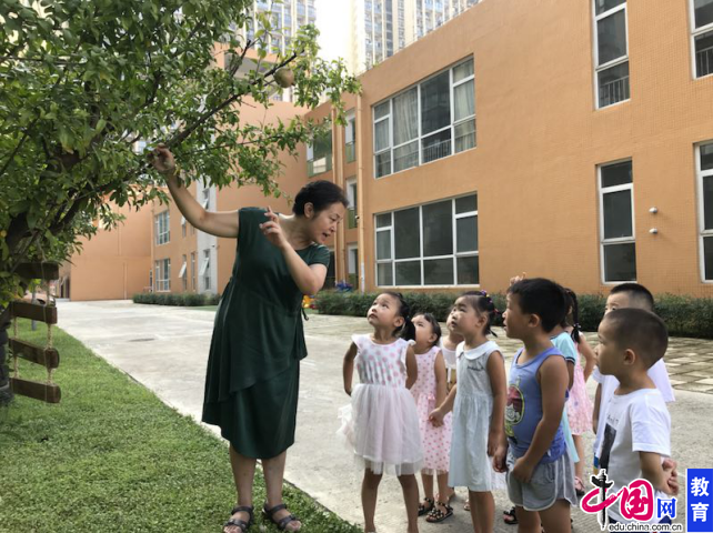 向阳桥幼儿园园长宁泽琼:做幼教战线上的忠诚