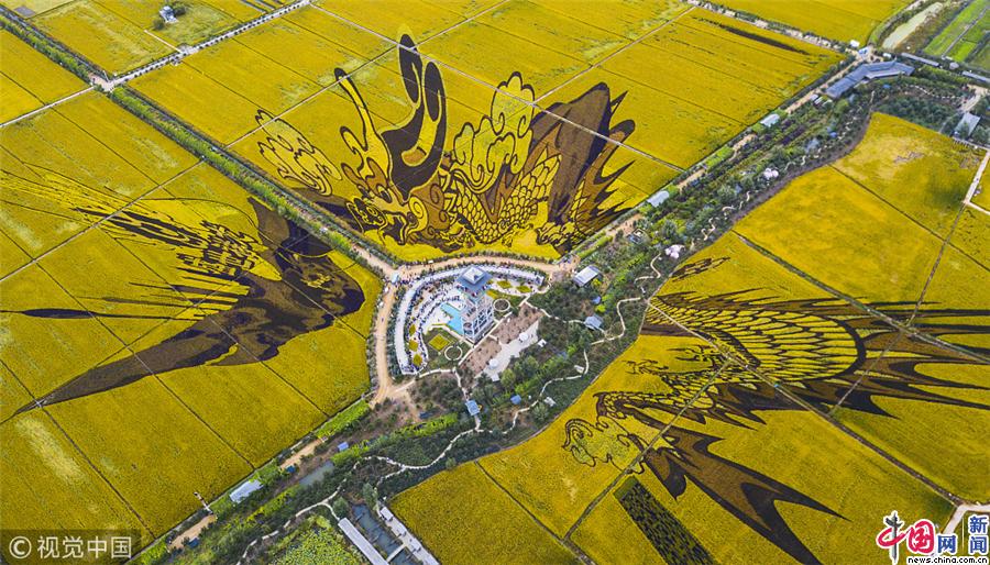渖阳:中秋假期 稻田画进入最佳观赏季
