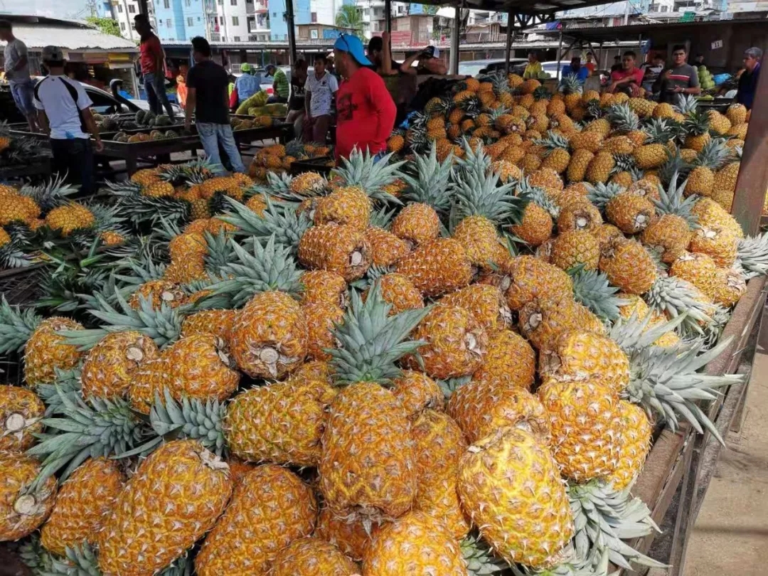 时政新闻眼习近平访问巴拿马两国元首为何频频提到这个词