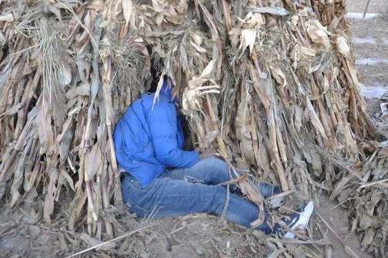 17日下午,宁夏西吉县偏城乡下堡村一玉米地内发现一具男性尸体.