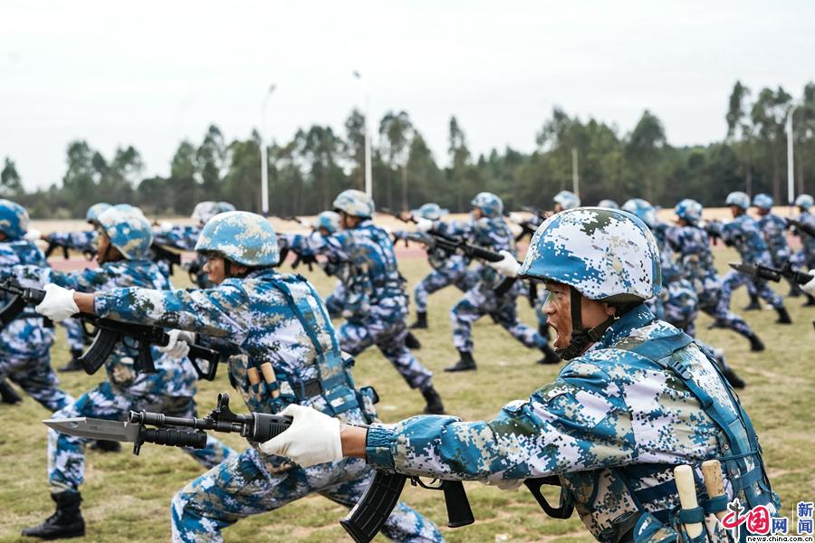 中国海军陆战队6旅图片