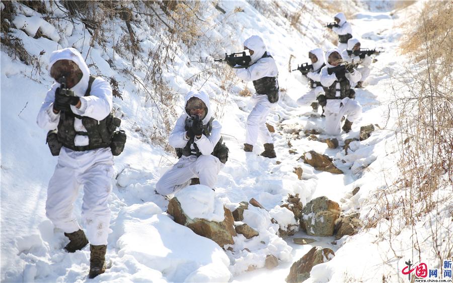 隔着屏幕感受到强力某合成旅官兵雪地冬训