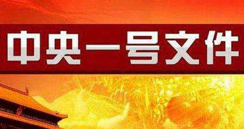 中国的人口危机_热文|中国生育报告2019:拯救中国人口危机刻不容缓