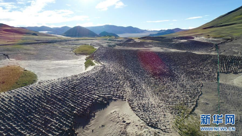 西藏日喀则市仲巴县境内雅鲁藏布江发源地附近被固化的沙丘(2018年9月