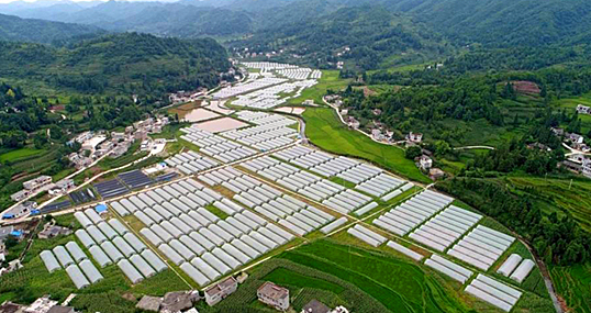 毕节贫困人口_炎炎夏日哪里去,花海毕节好避暑(2)