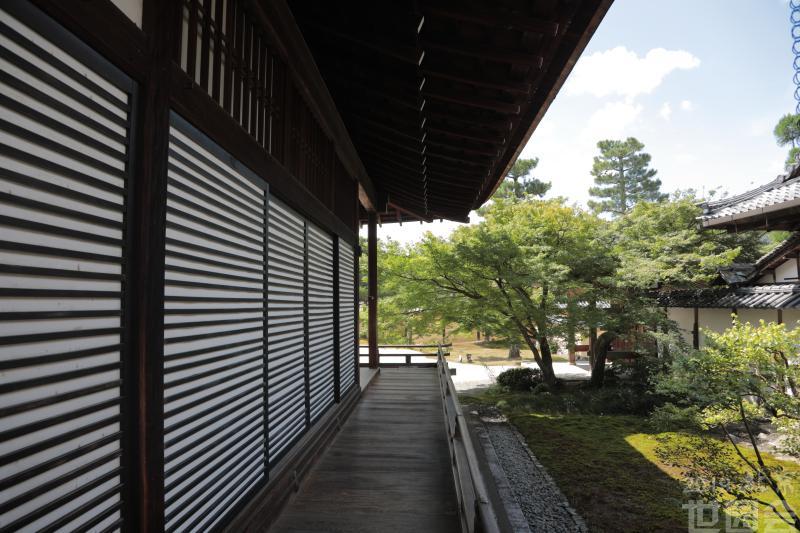 京都 大觉寺 一