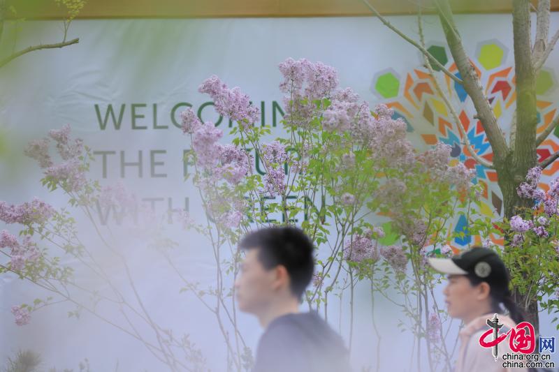2019北京世园会4月29日正式开园。据悉，开园第一天迎来3.5万人入园参观。中国网记者胡俊 摄