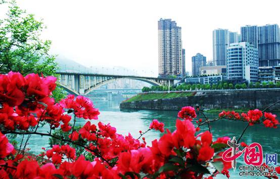 美景美食 中国网5月5日讯   初夏时节,重庆彭水县城滨江河堤绿化带上