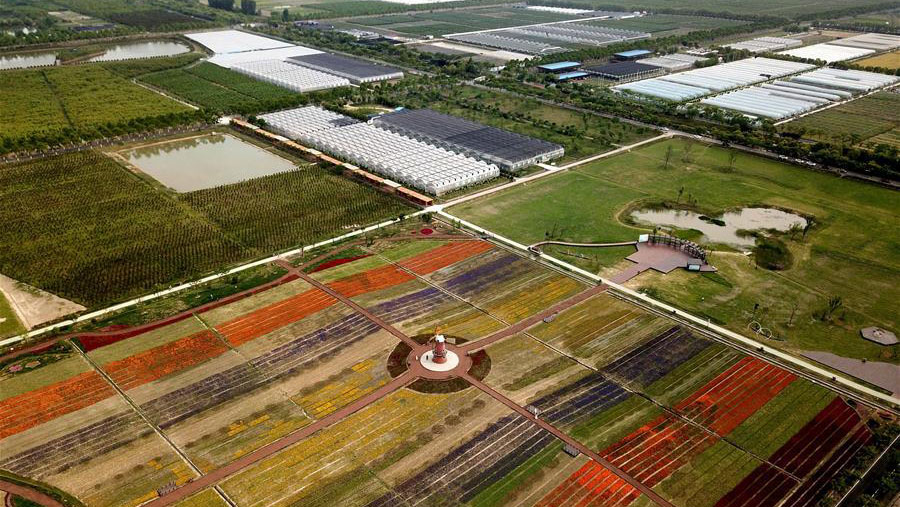 合肥包河区2020gdp_合肥包河区2020年规划