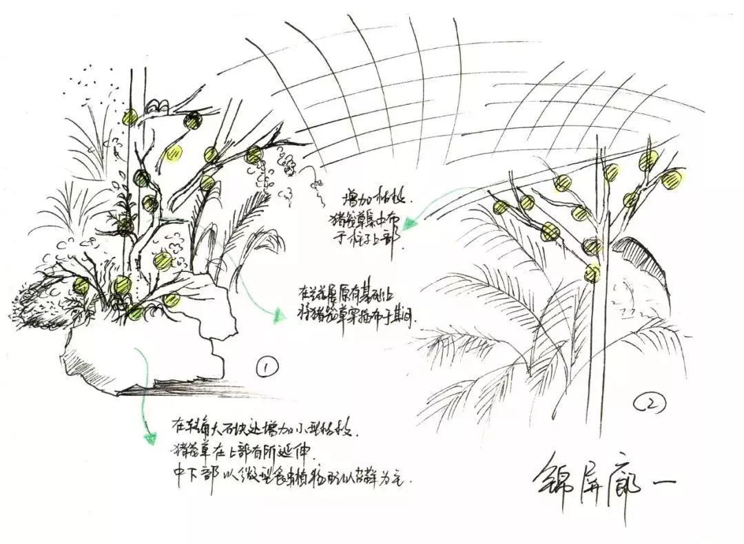 本次食虫植物主题展将瓶子草属,茅膏菜属,捕蝇草属等食虫植物家族成员