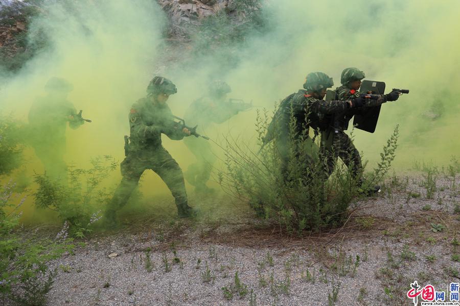 武警大片又来了:这波高强度训练图很酷炫_军事_中国网