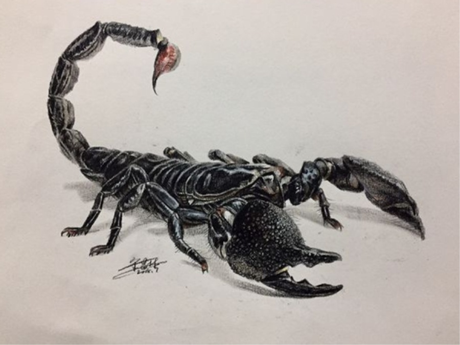 宋昌林画《童趣·昆虫》系列:小蝎子
