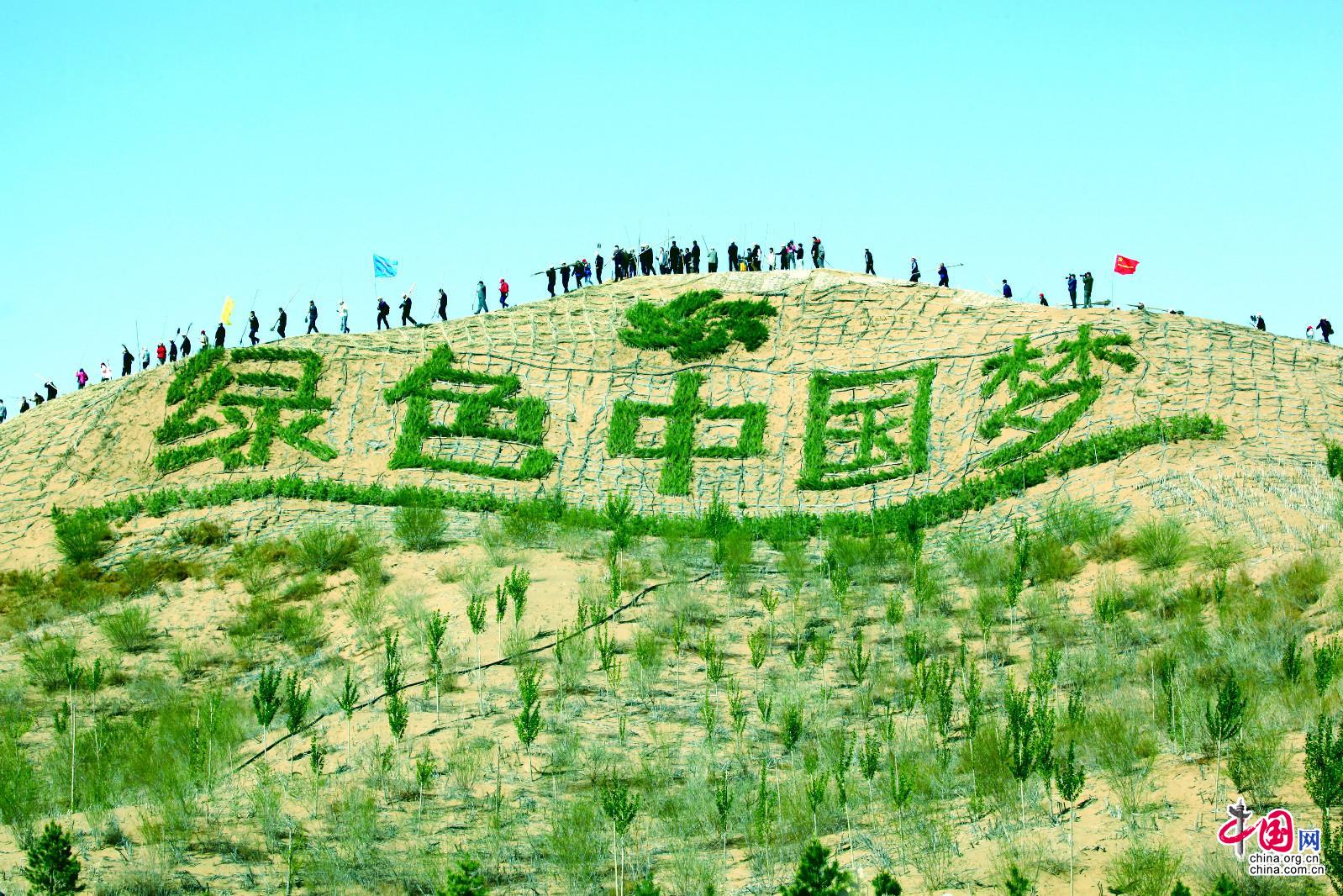 在库布其沙漠"沙峰绿谷"生态成果展示区,"绿色中国梦"的人工绿植景观