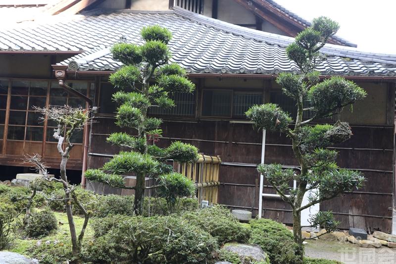 奈良:当麻寺西南院(五)