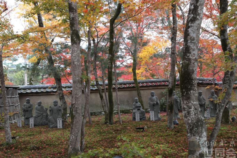 京都:宝严院狮子吼之庭(三)