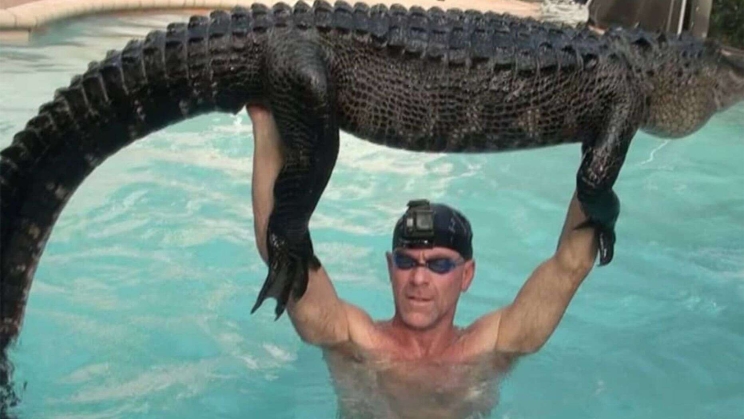 鳄鱼出没！美国住宅游泳池惊现鳄鱼 救援人员徒手抱出