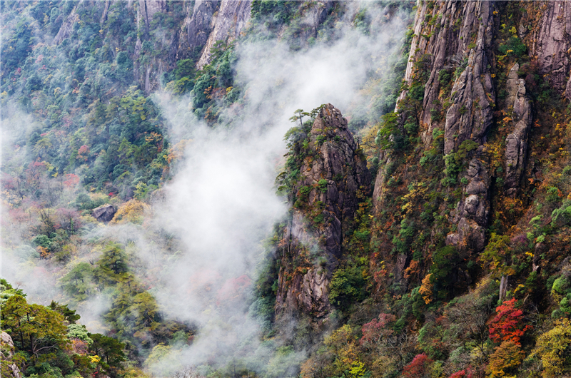 黄山：秋色遇上云海 如同色彩浓郁的天然油画
