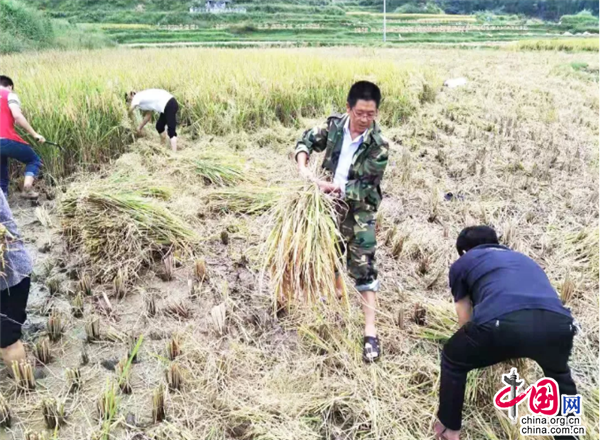 出社会以后-挂机方案贵州荔波何毅坤：老书记出马“后进”变“后劲”挂机论坛(1)