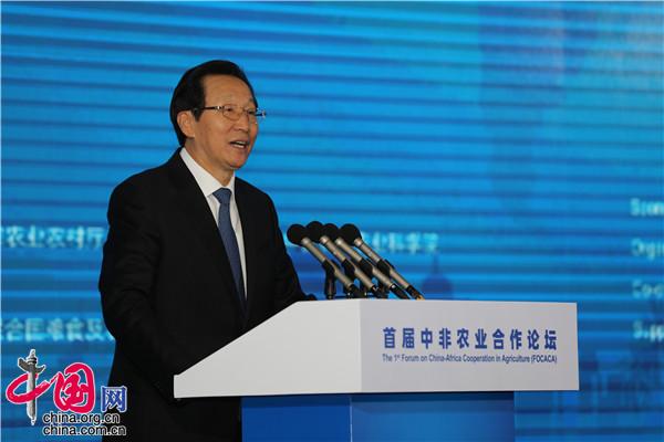 首届中非农业合作论坛召开重点推动落实七方面成果