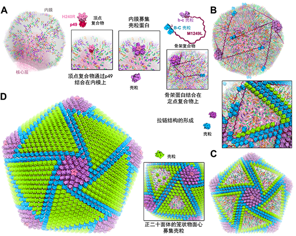 中国网政务3月30日讯(记者胡俊)据科技部网站3月27日消息,2020年2月27日,科学技术部高技术研究发展中心(基础研究管理中心)发布了2019年度中国科学十大进展 中国网政务3月30日讯(记者胡俊)据科技部网站3月27日消息,2020年2月27日,科学技术部高技术研究发展中心(基础研究管理中心)发布了2019年度中国科学十大进展