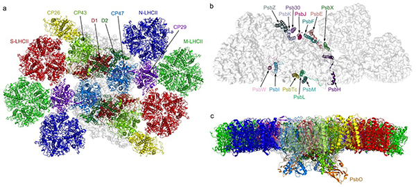 中国网政务3月30日讯(记者胡俊)据科技部网站3月27日消息,2020年2月27日,科学技术部高技术研究发展中心(基础研究管理中心)发布了2019年度中国科学十大进展 中国网政务3月30日讯(记者胡俊)据科技部网站3月27日消息,2020年2月27日,科学技术部高技术研究发展中心(基础研究管理中心)发布了2019年度中国科学十大进展