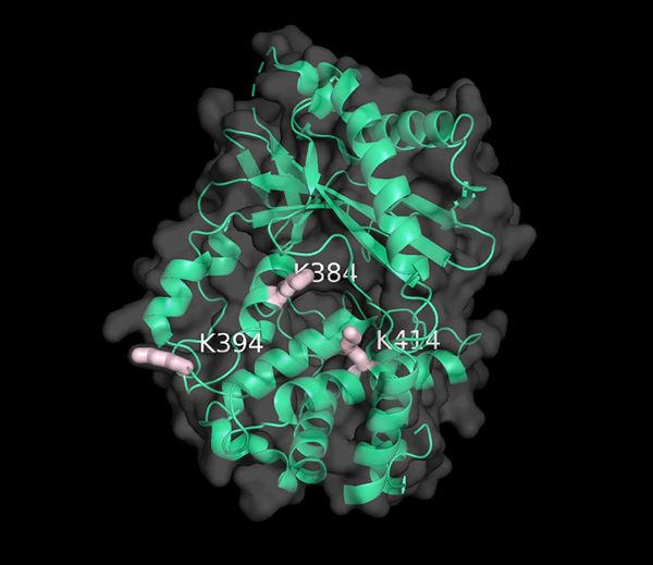 中国网政务3月30日讯(记者胡俊)据科技部网站3月27日消息,2020年2月27日,科学技术部高技术研究发展中心(基础研究管理中心)发布了2019年度中国科学十大进展 中国网政务3月30日讯(记者胡俊)据科技部网站3月27日消息,2020年2月27日,科学技术部高技术研究发展中心(基础研究管理中心)发布了2019年度中国科学十大进展