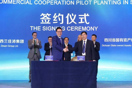佳沛中国首个奇异果商业化合作种植试点正式启动