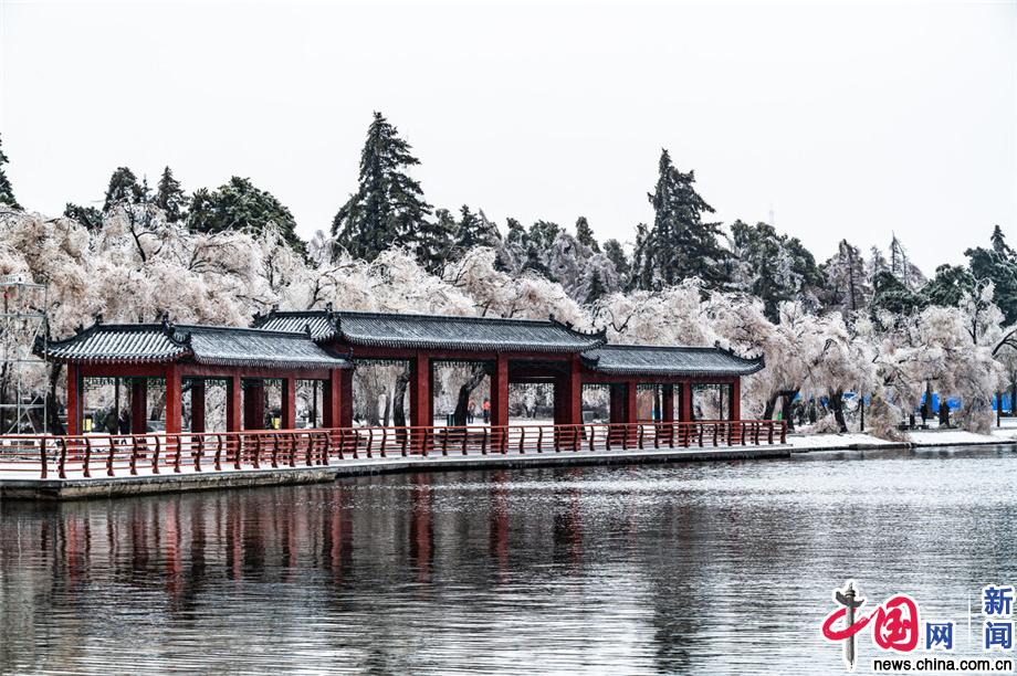 冬天南湖公园景色美图片