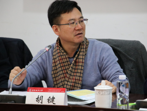 胡键研究员评议