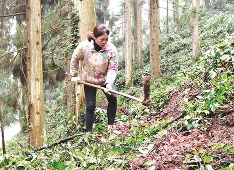美之氧怎么装重庆江津：迎“三八”国际妇女节 她们用奋斗演绎巾帼之美_https://www.jmylbn.com_新闻资讯_第5张