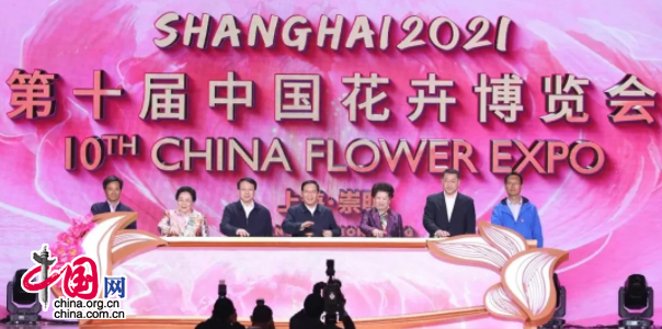 第十届花博会盛世花开绽放上海第十届中国花卉博览会盛大开幕