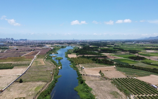 位于三亚宁远河岸边的南滨农场及周边的大片耕地，都是各个研究机构的南繁基地。新京报记者 周怀宗 摄
