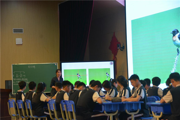 郑州课程研讨：提升数学问题解决能力，推广项目式学习