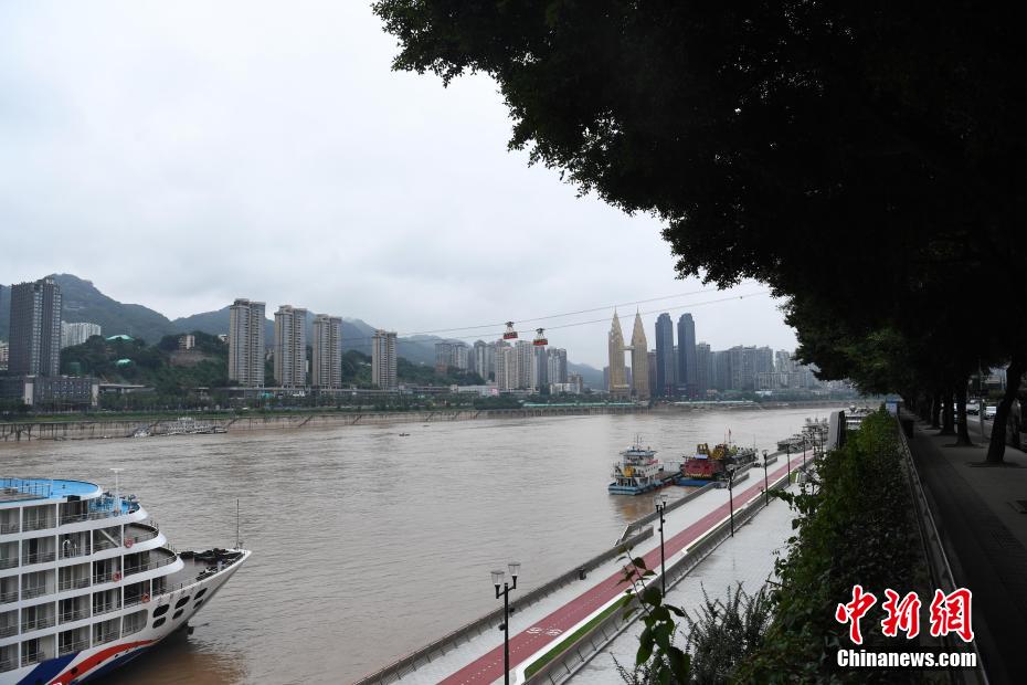 受上游強降雨影響長江嘉陵江重慶段水位上漲組圖