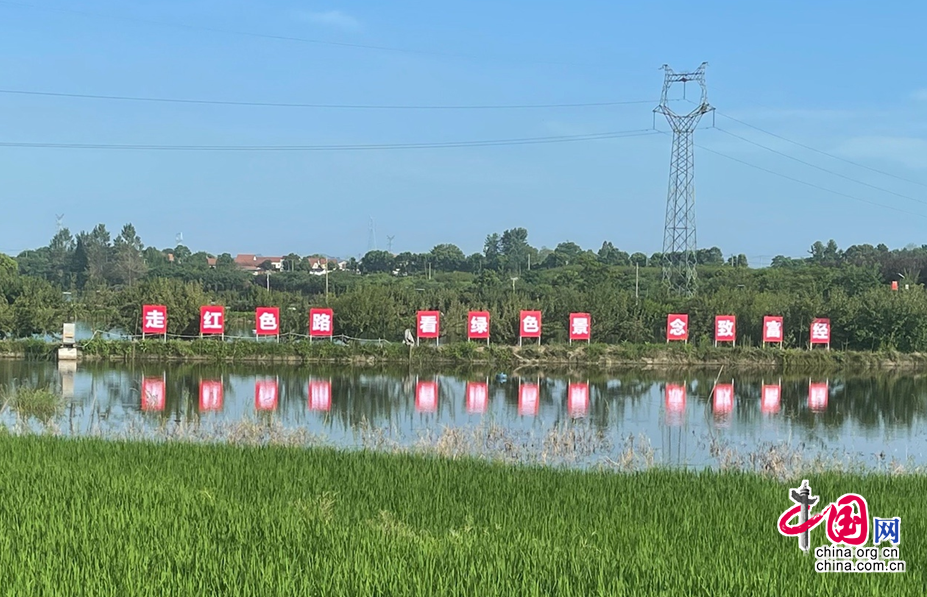 中国发布丨走红色路、看绿色景、念致富经 陈策楼村这样振兴美丽乡村