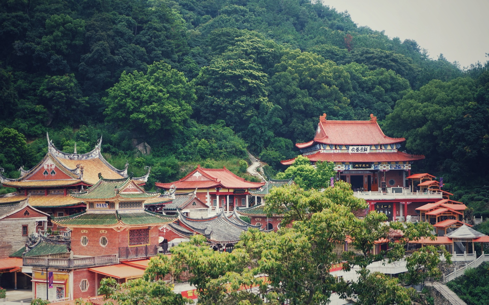 康美鎮依託雪峰寺發展禪文化及旅遊文化. 康美鎮供圖