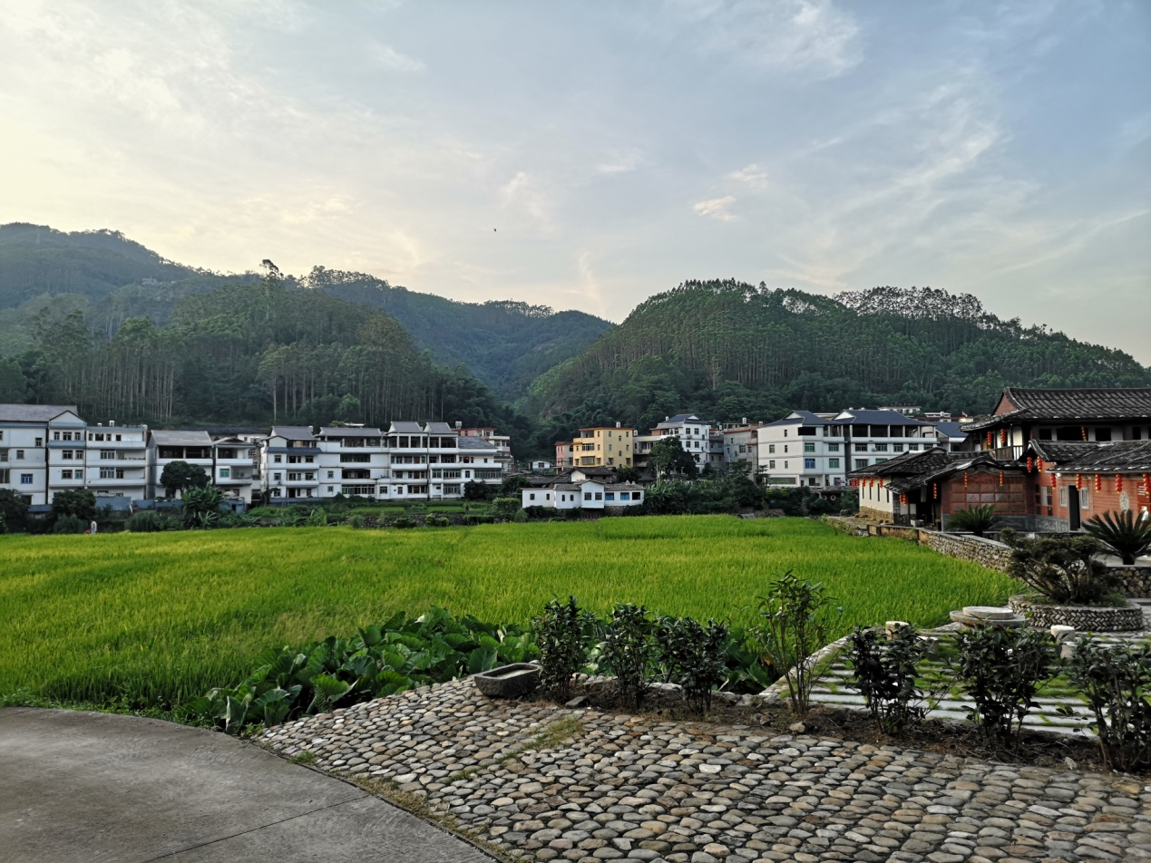 典型案例】守护乡村绿水青山 绘就生态宜居画卷_新闻中心_中国网