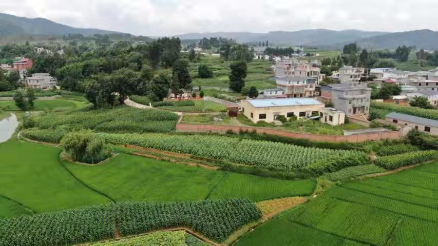 雲南嵩明以民生實事繪就鄉村振興新圖景