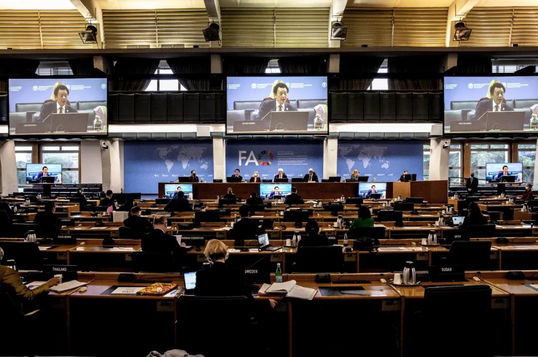 联合国粮农组织迈向2022年新征程砥砺前行笃行致远