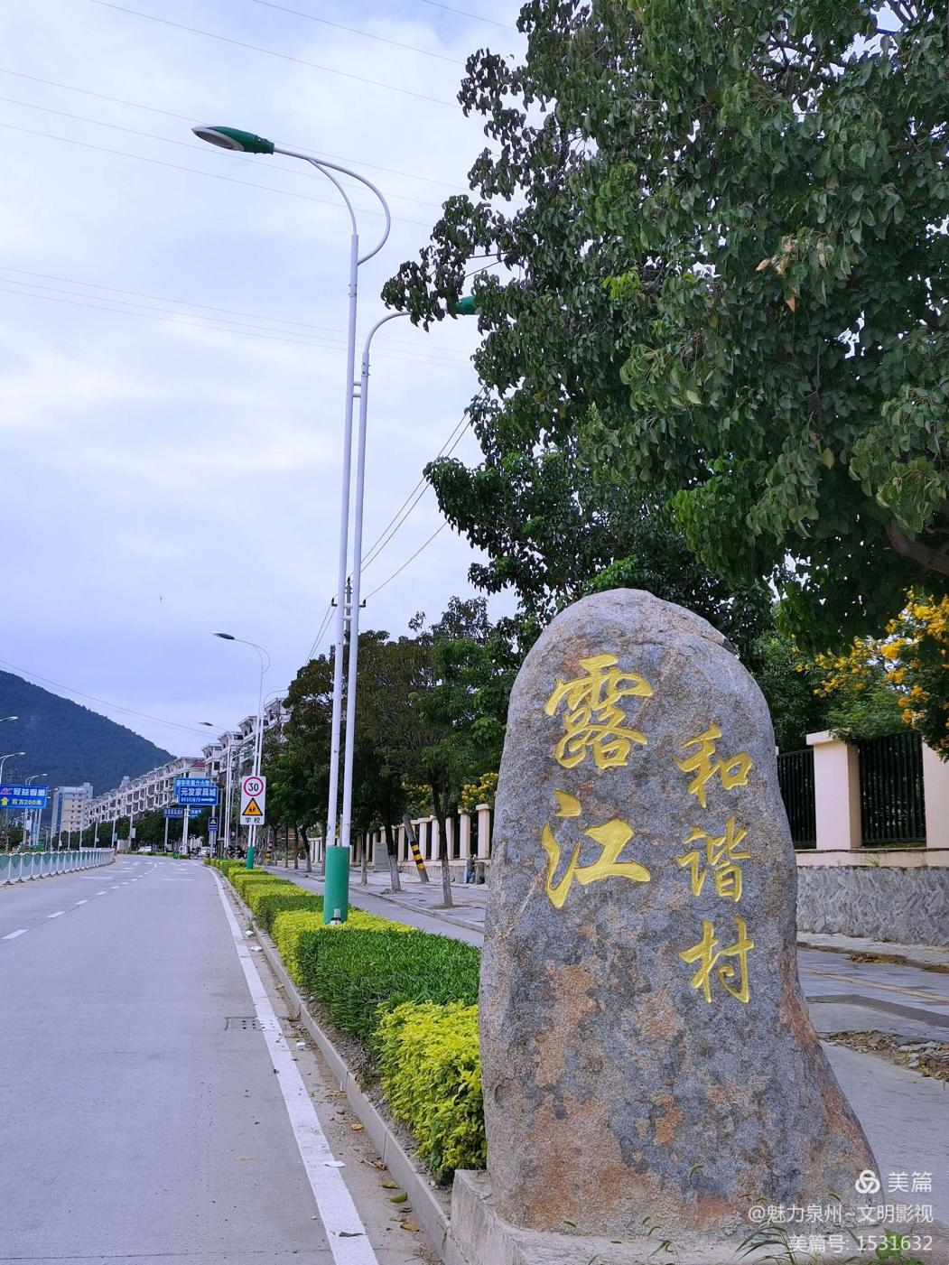 福建南安露江村做好乡村振兴大文章奏响美丽乡村和谐曲