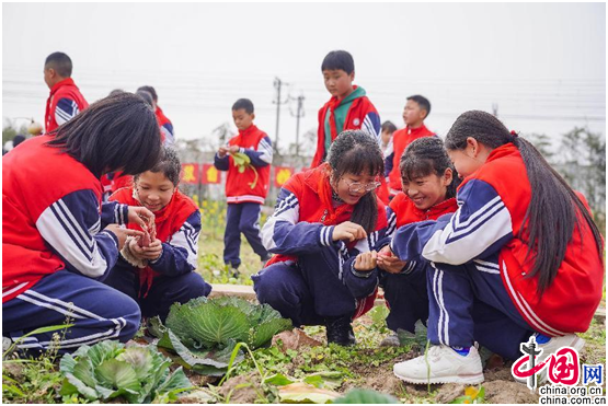 小学坚持四劳动的模式,在日常中把每周一节劳动课纳入日常劳动教育中