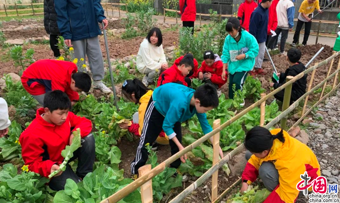 孩子成长路上的智慧之选:生活实践教育选购指南